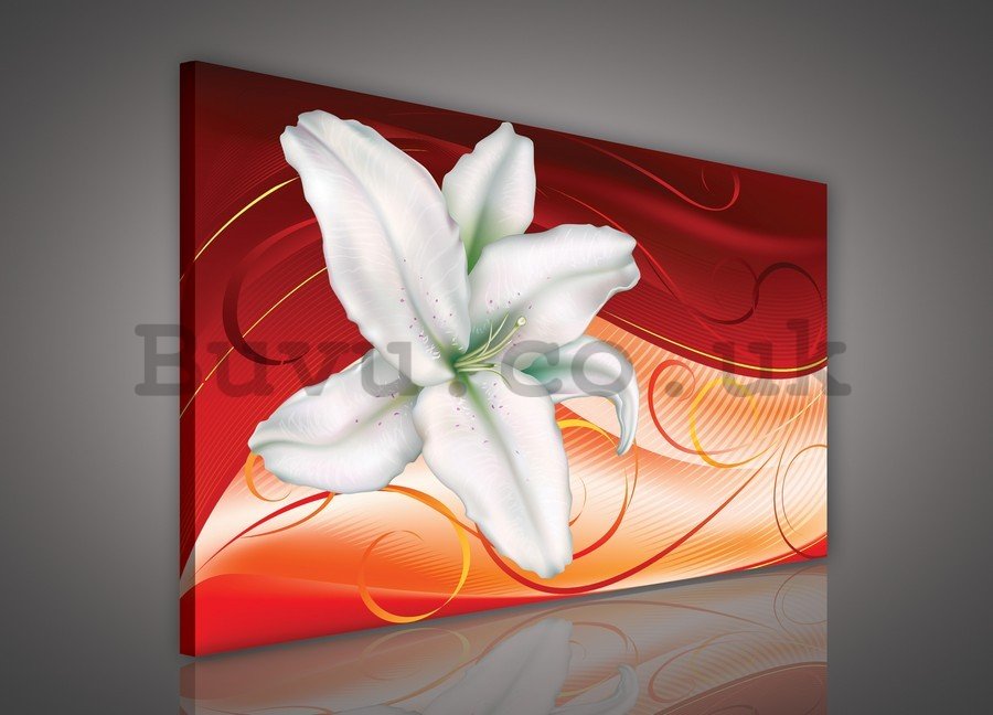 Painting on canvas: Lilies (2) - 75x100 cm