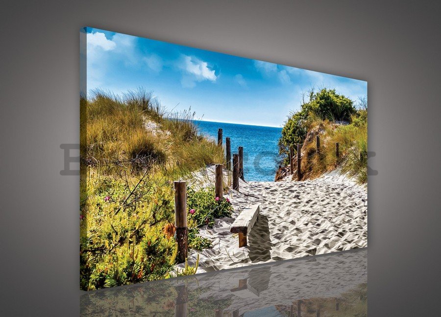 Painting on canvas: Canvas on the Beach (6) - 75x100 cm
