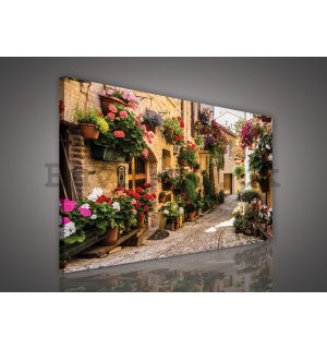 Painting on canvas: Floral Lane - 75x100 cm