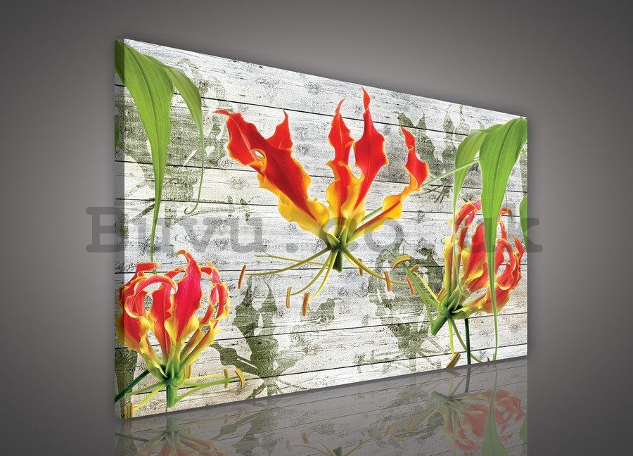 Painting on canvas: Abstract Flowers (4) - 75x100 cm