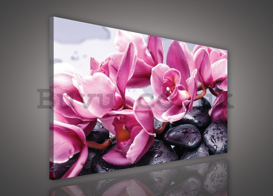 Painting on canvas: Spa stones and pink orchids - 75x100 cm