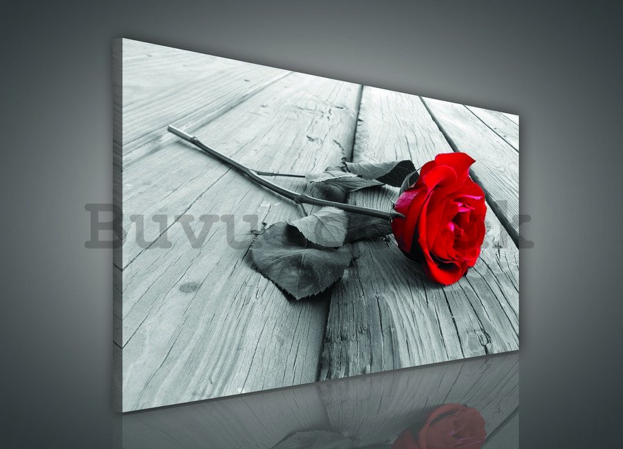 Painting on canvas: Red rose - 75x100 cm