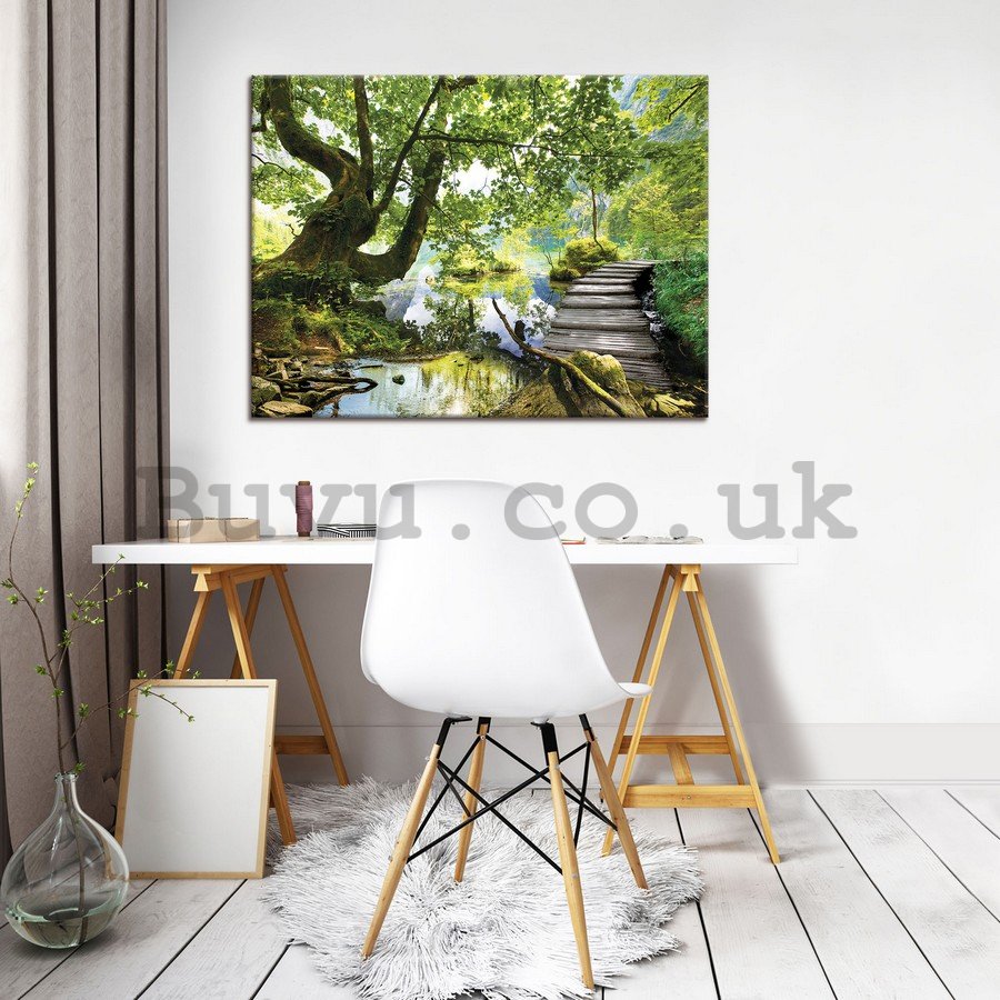 Painting on canvas: Forest pool (3) - 75x100 cm