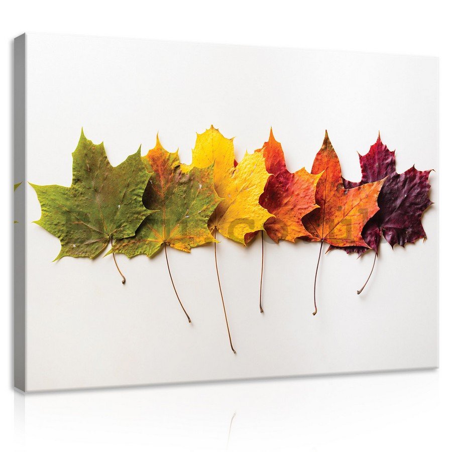 Painting on canvas: Autumn leaves - 75x100 cm
