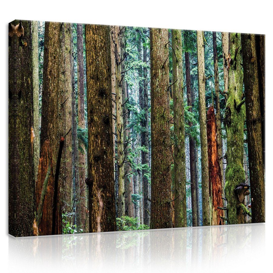 Painting on canvas: Coniferous forest - 75x100 cm