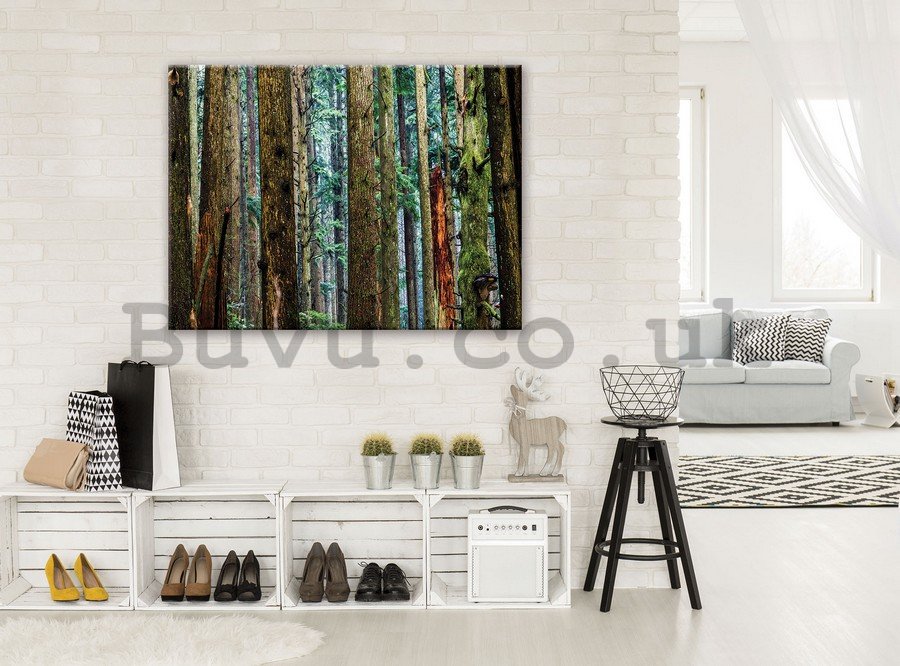 Painting on canvas: Coniferous forest - 75x100 cm