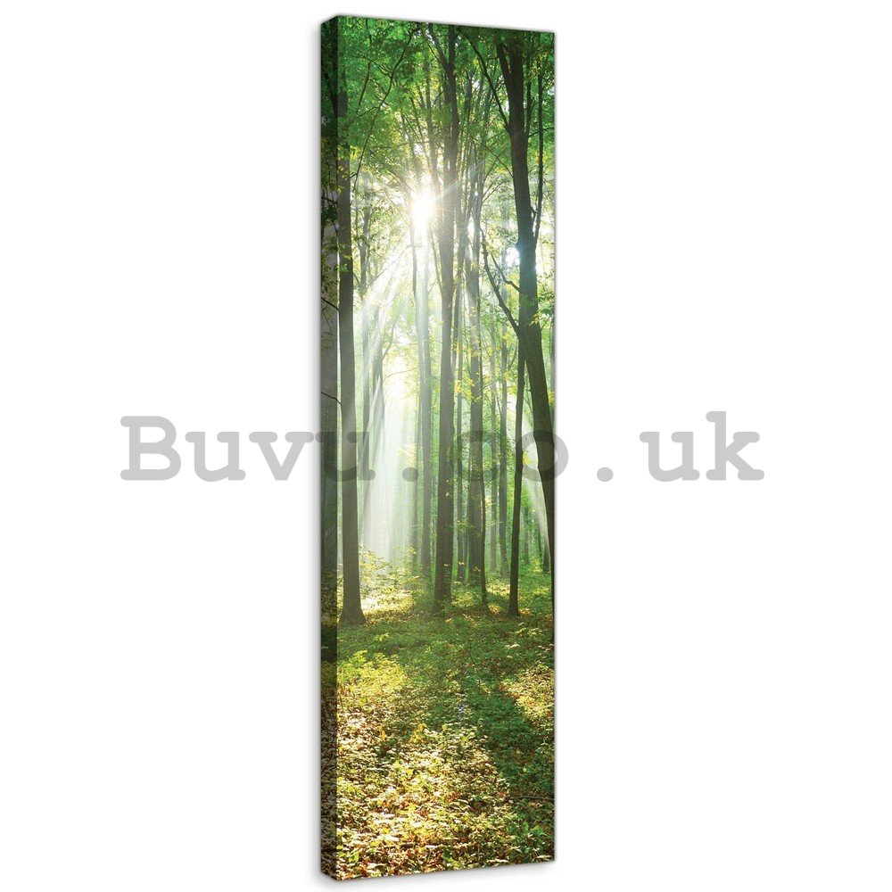 Painting on canvas: Sun in the Forest (3) - 145x45 cm