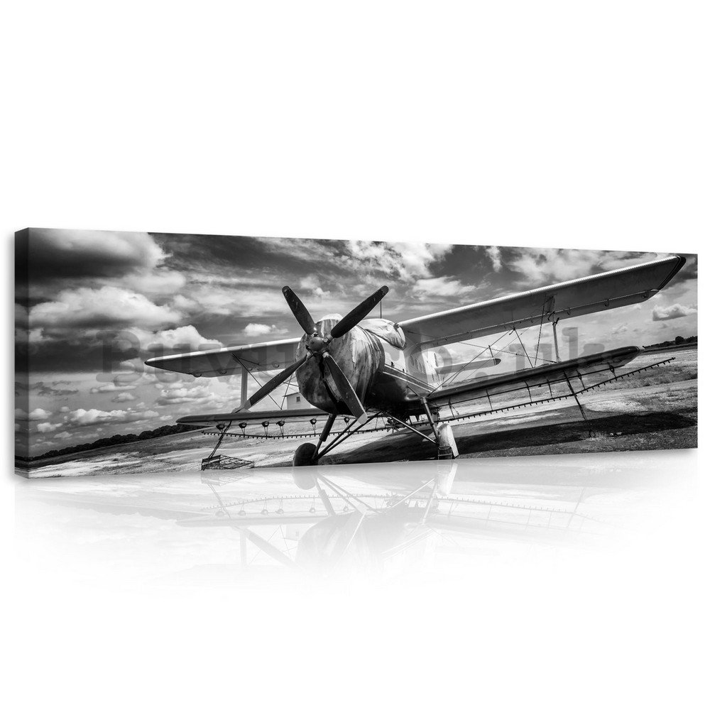 Painting on canvas: Biplane (black and white) - 145x45 cm