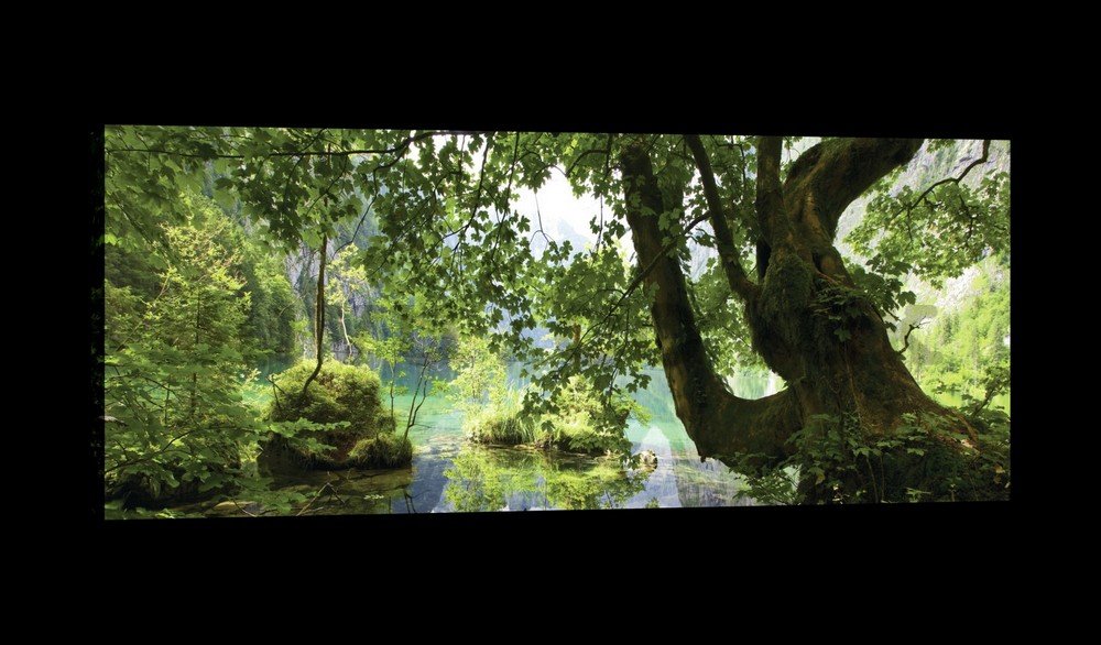 Painting on canvas: Forest pool - 145x45 cm