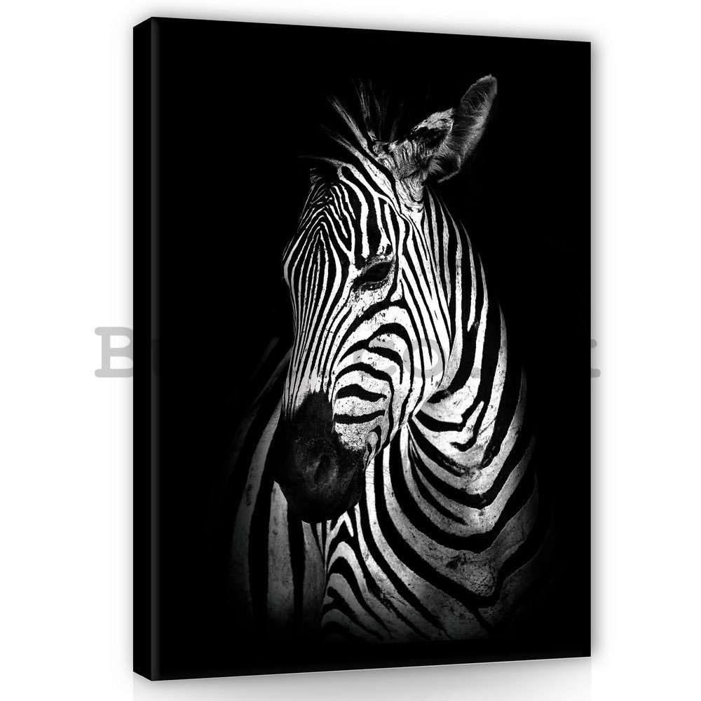 Painting on canvas: Zebra (2) - 100x75 cm