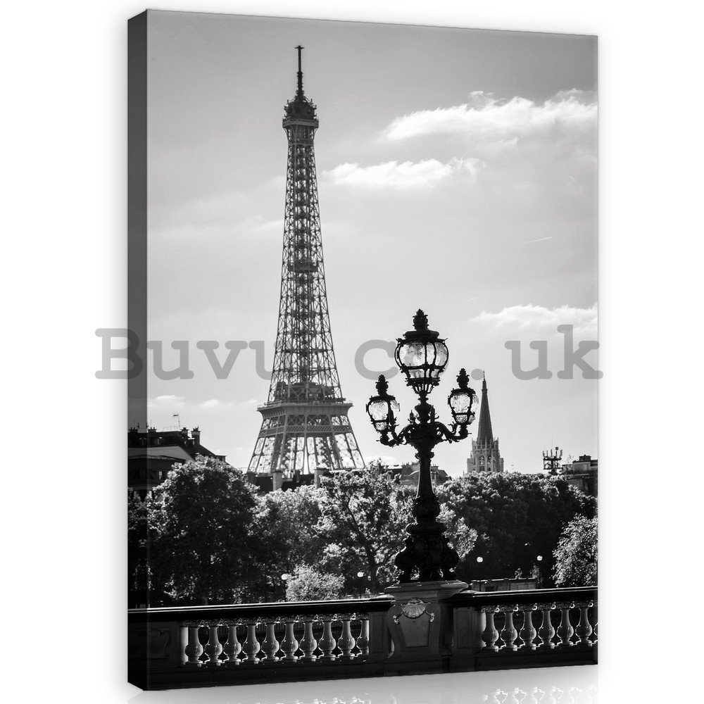 Painting on canvas: Black and White Eiffel Tower - 100x75 cm