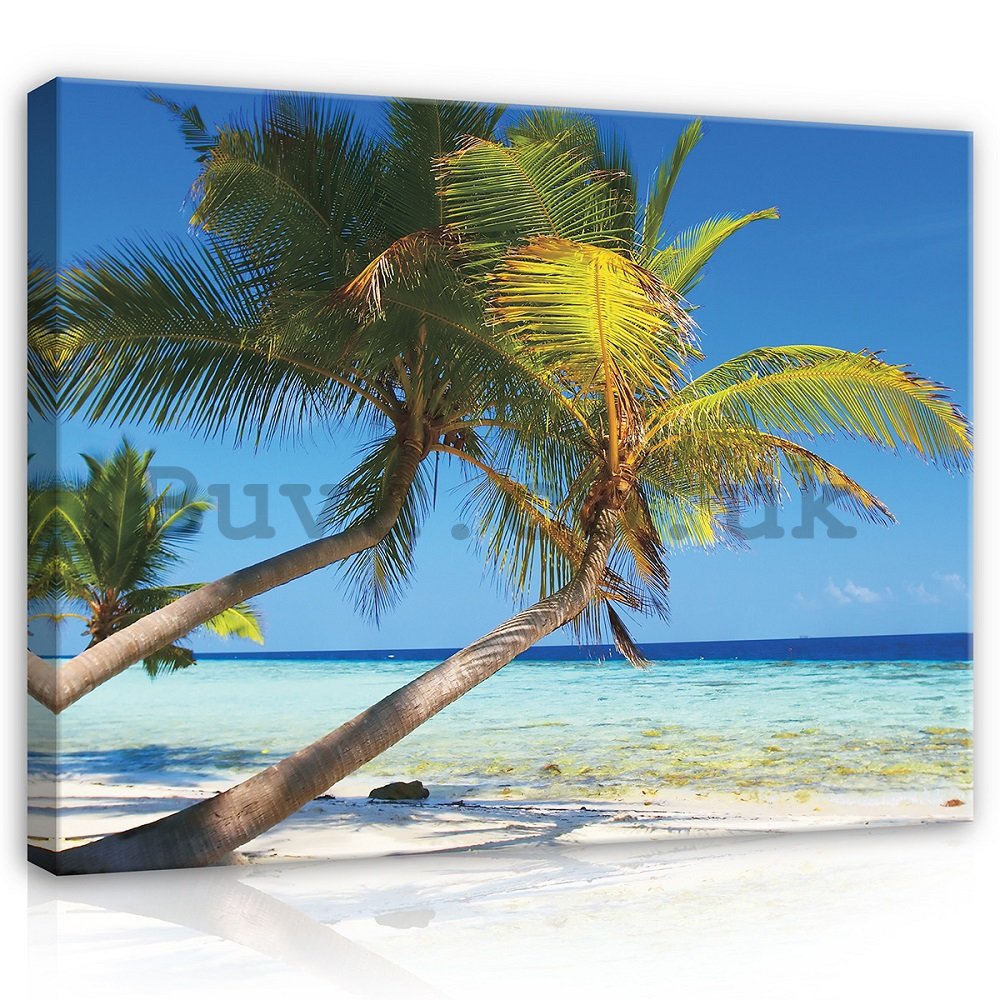 Painting on canvas: Beach with palm - 75x100 cm