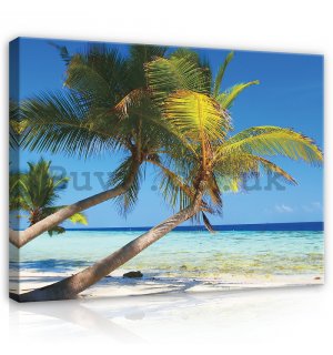 Painting on canvas: Beach with palm - 75x100 cm