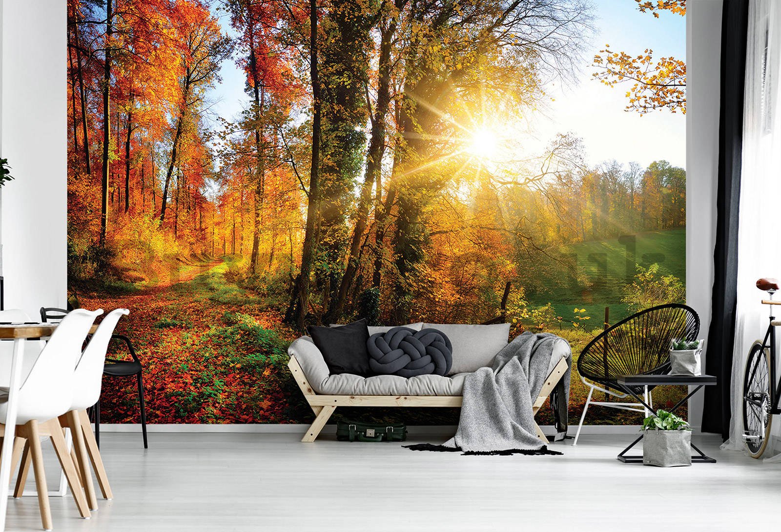 Wall mural vlies: Forest Road - 184x254 cm