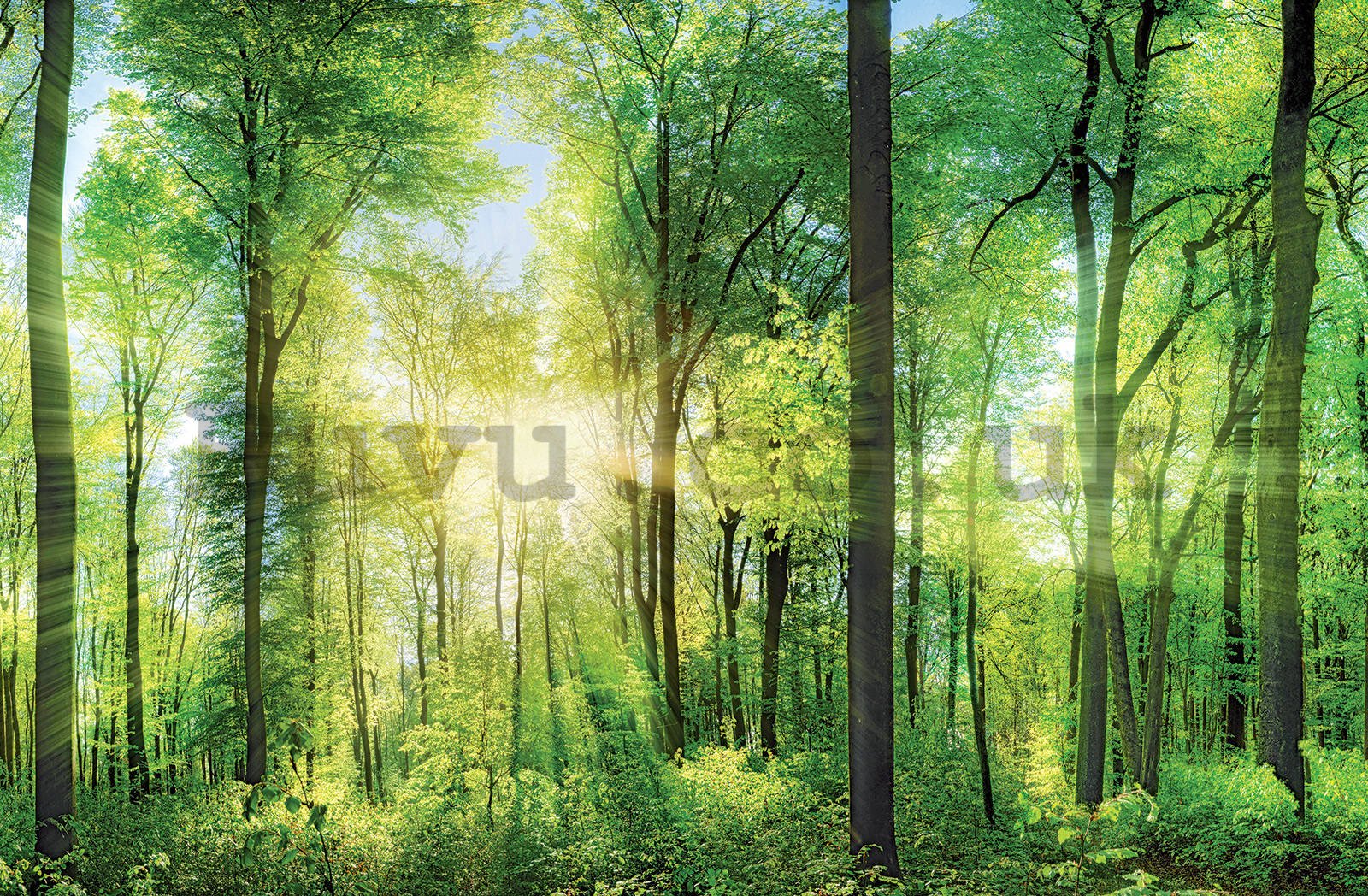 Painting on canvas: Green Forest (1) - 116x76 cm