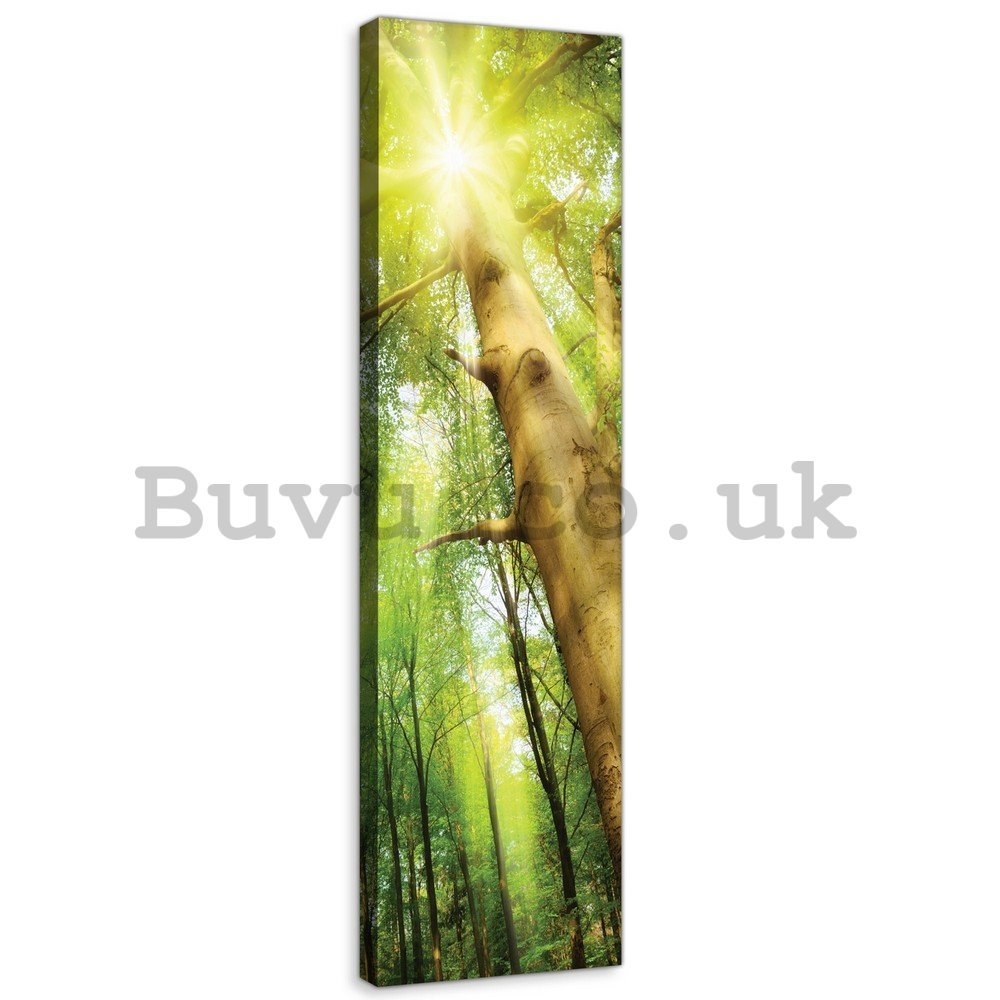 Painting on canvas: Forest sun (1) - 145x45 cm