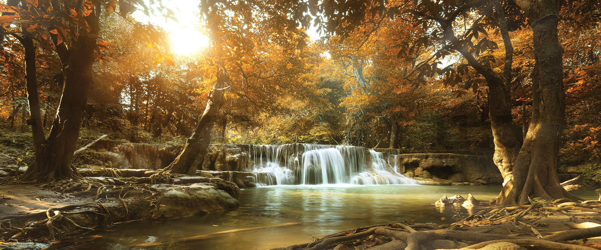 Painting on canvas: Forest waterfalls (1) - 145x45 cm