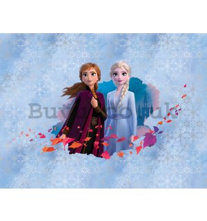 Wall mural vlies: Frozen II (Anna & Elsa) - 360x270 cm