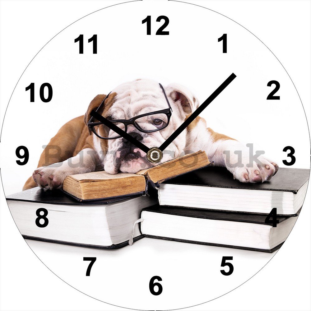 Glass wall clock: Bulldog - 34 cm