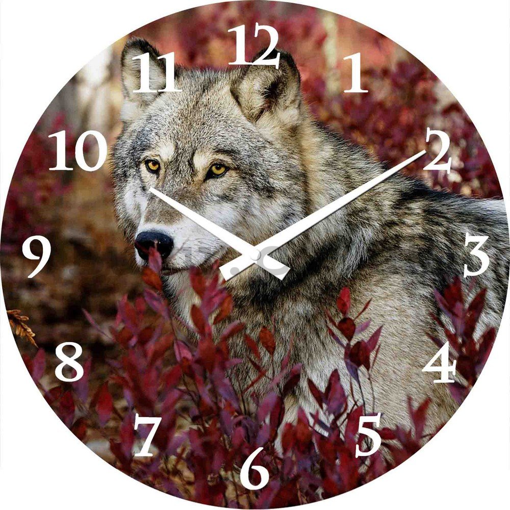 Glass wall clock: Wolf - 38 cm