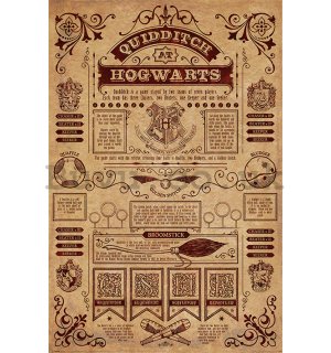 Poster - Harry Potter (Quidditch At Hogwarts) 