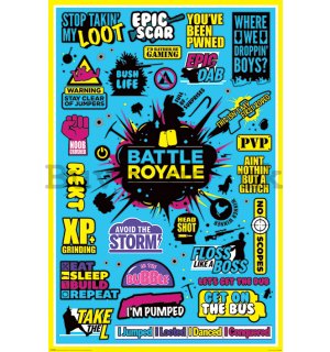 Poster - Battle Royale (Infographic) 