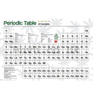 Poster - Periodic Table (Cannabis) 