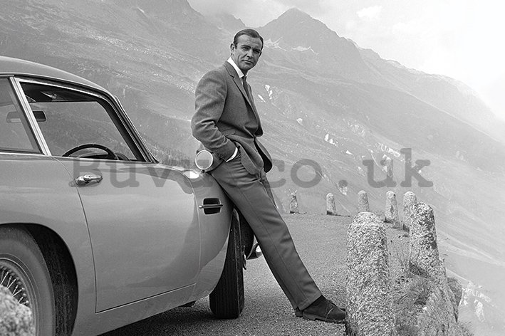 Poster - James Bond (Connery & Aston Martin) 