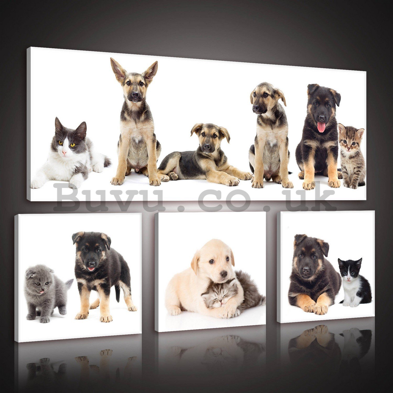Painting on canvas: Dogs (1) - set 1pc 80x30 cm and 3pc 25,8x24,8 cm