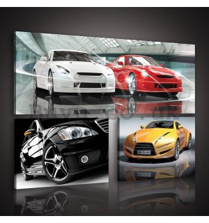 Painting on canvas: Sports Cars - set 1pc 80x30 cm and 2pc 37,5x24,8 cm