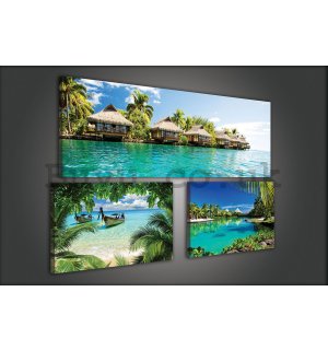 Painting on canvas: Tropical paradise - set 1pc 80x30 cm and 2pc 37,5x24,8 cm