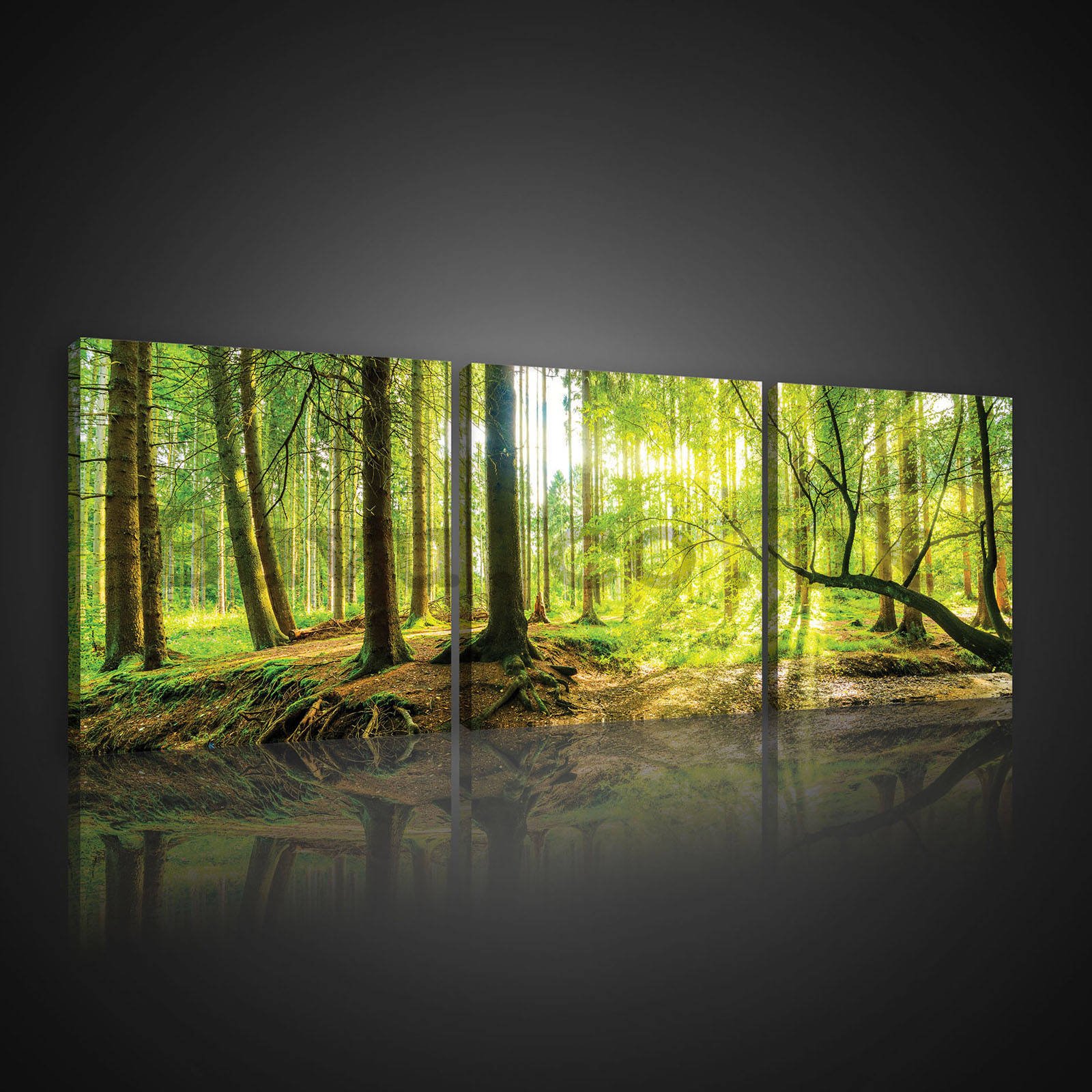 Painting on canvas: Floodplain forest - set 3pcs 25x25cm