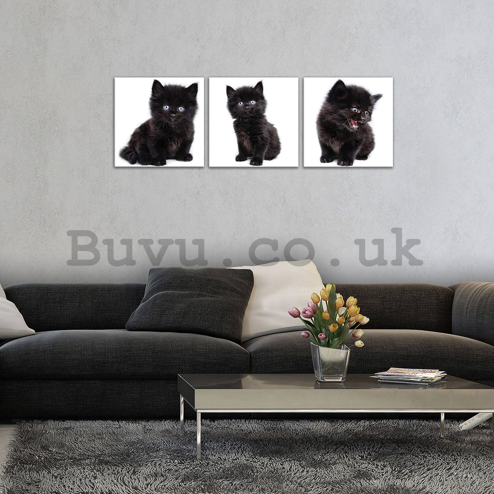 Painting on canvas: Black kitten - set 3pcs 25x25cm