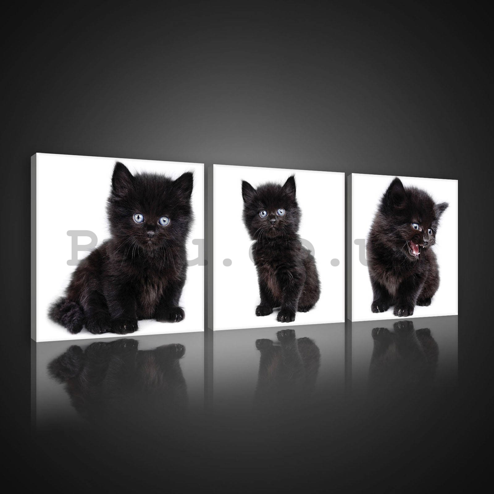 Painting on canvas: Black kitten - set 3pcs 25x25cm