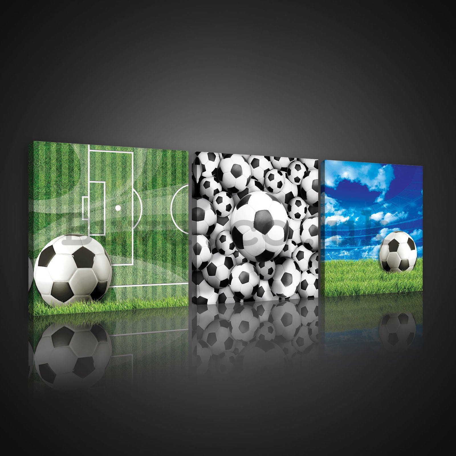 Painting on canvas: Football balls - set 3pcs 25x25cm
