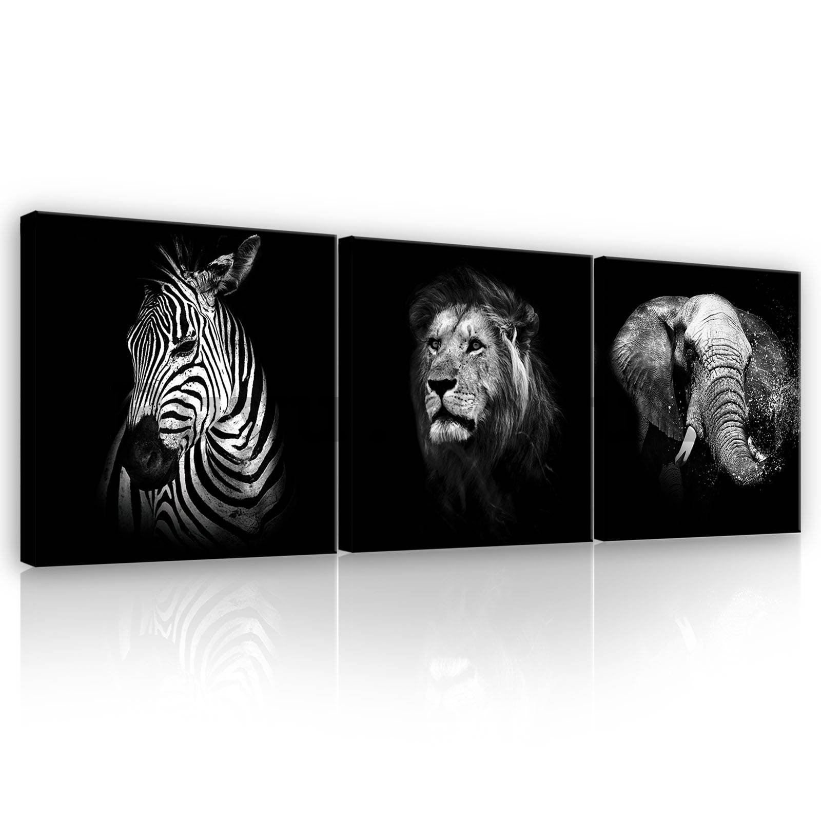 Painting on canvas: Black and white animals (1) - set 3pcs 25x25cm