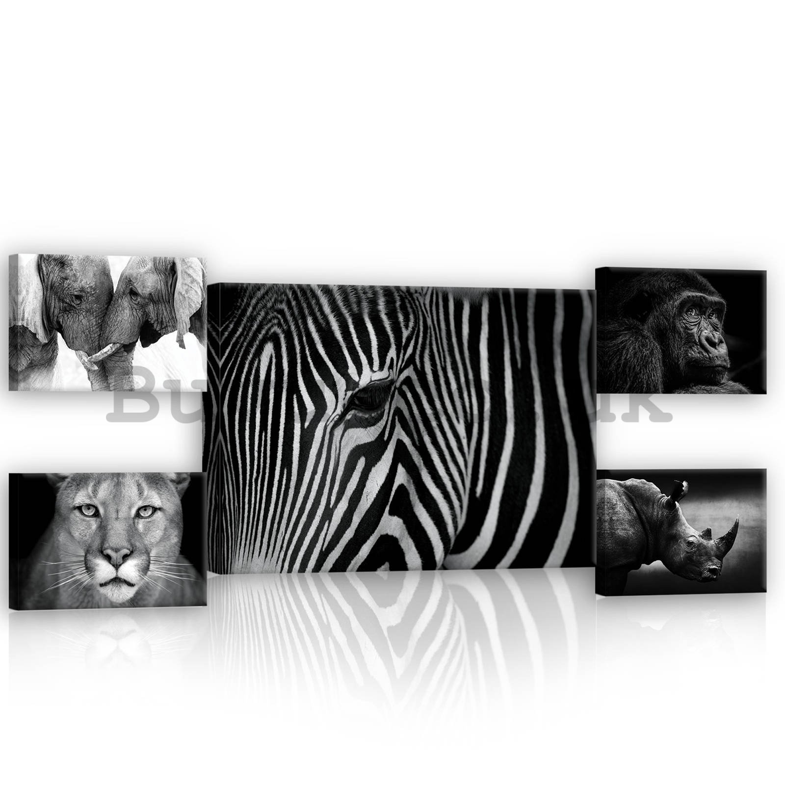 Painting on canvas: Black and white animals (2) - set 1pc 70x50 cm and 4pc 32,4x22,8 cm