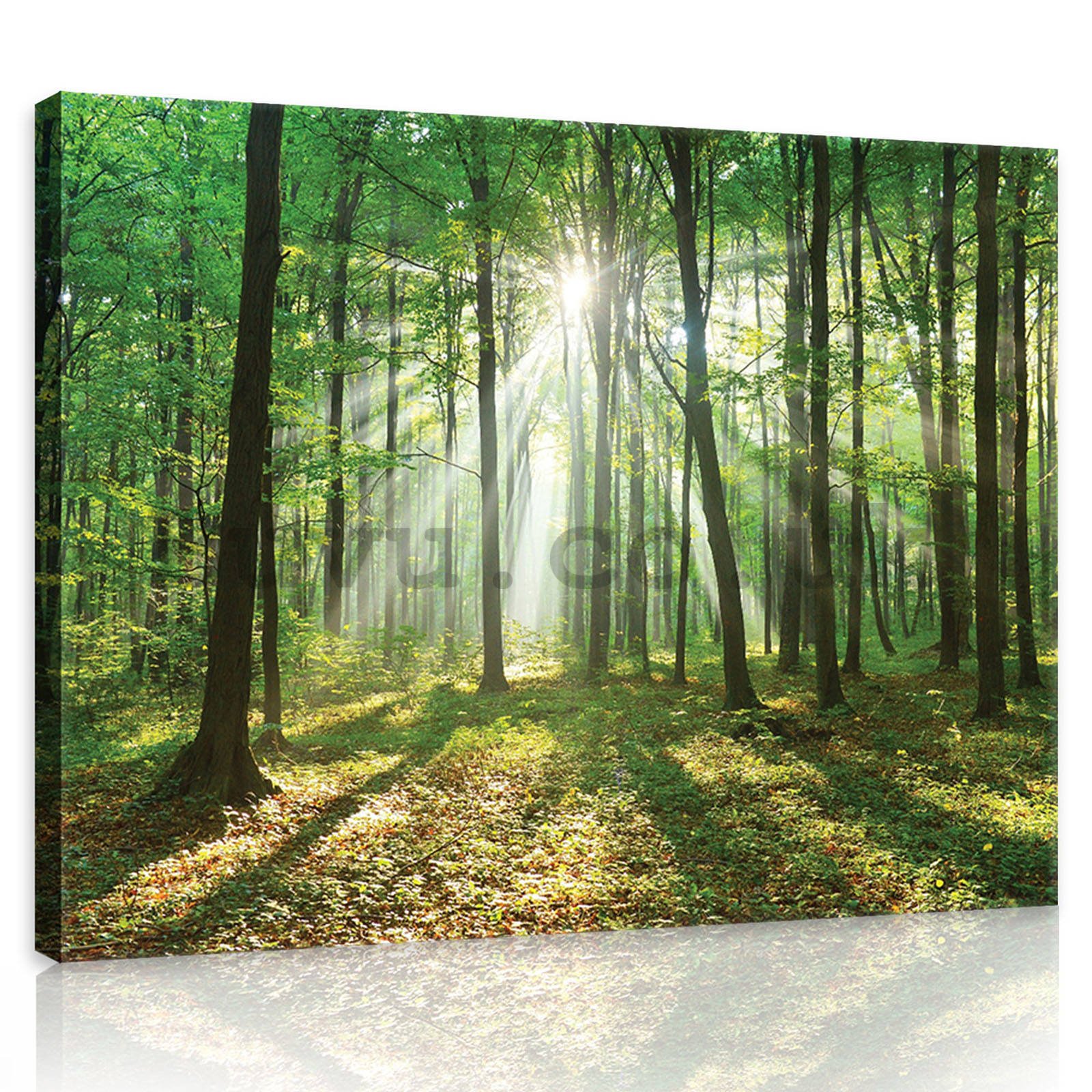 Painting on canvas: Sun in the Forest (3) - 80x60 cm