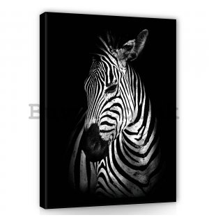 Painting on canvas: Zebra (2) - 60x80 cm