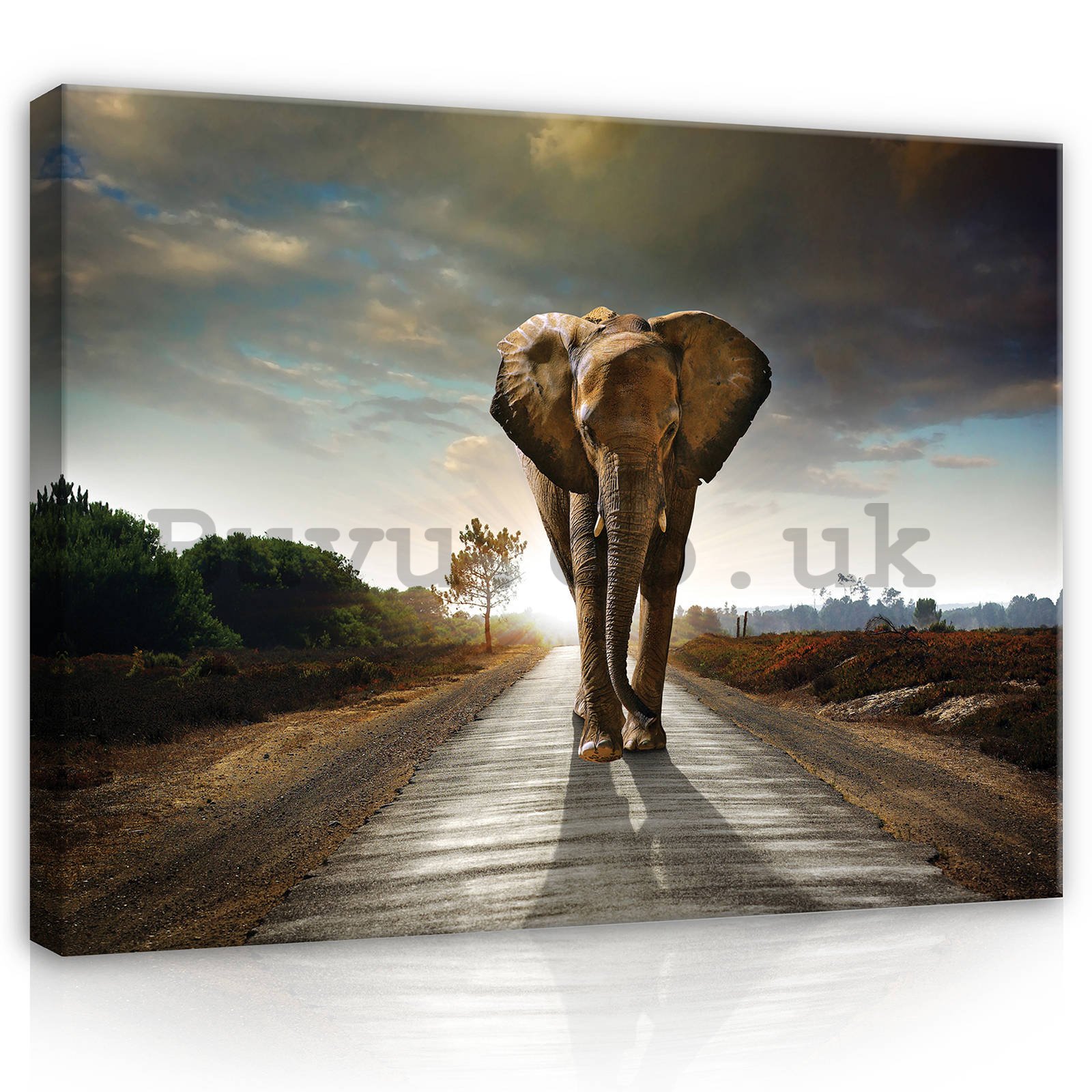 Painting on canvas: Elephant (4) - 80x60 cm