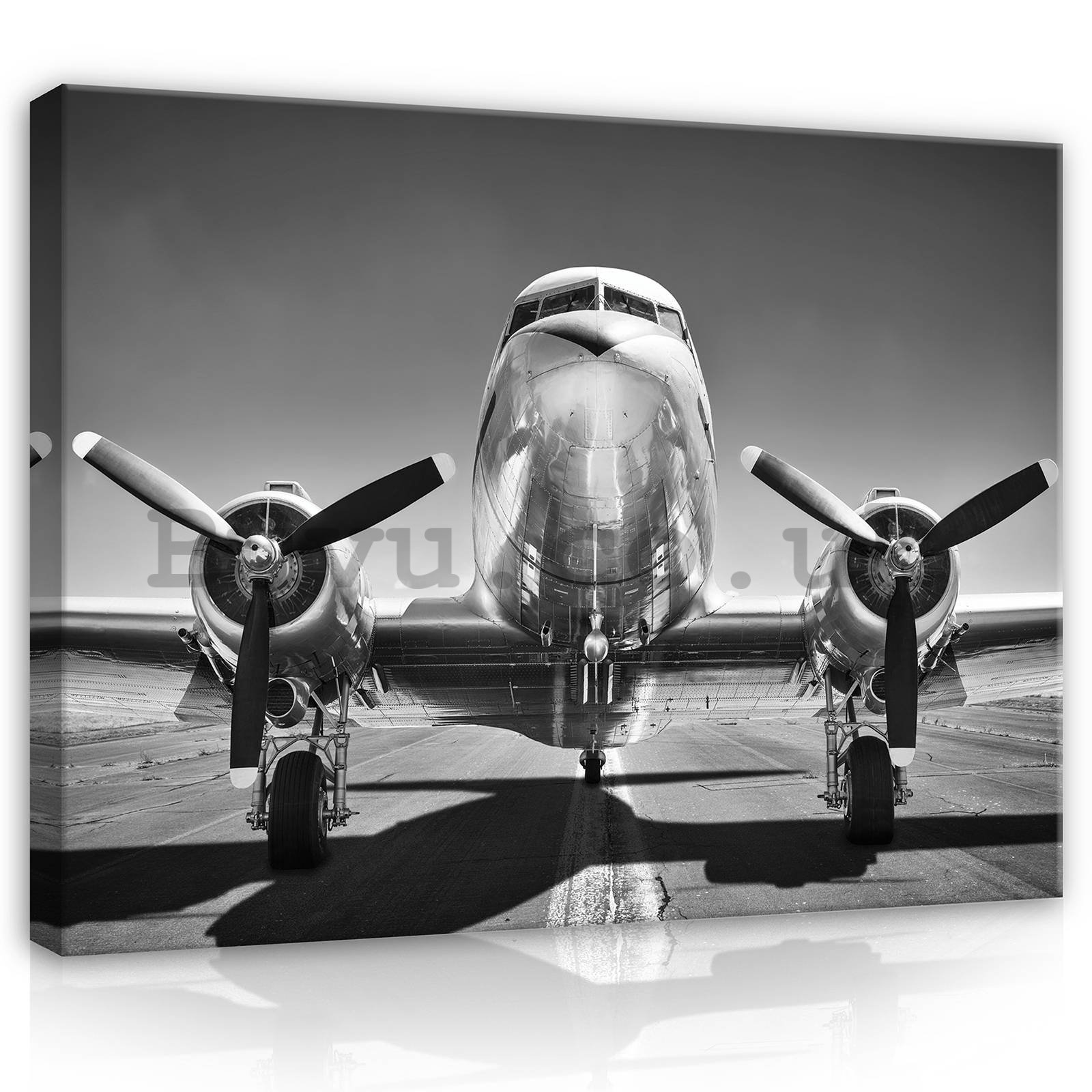 Painting on canvas: Aircraft Black & White (1) - 80x60 cm