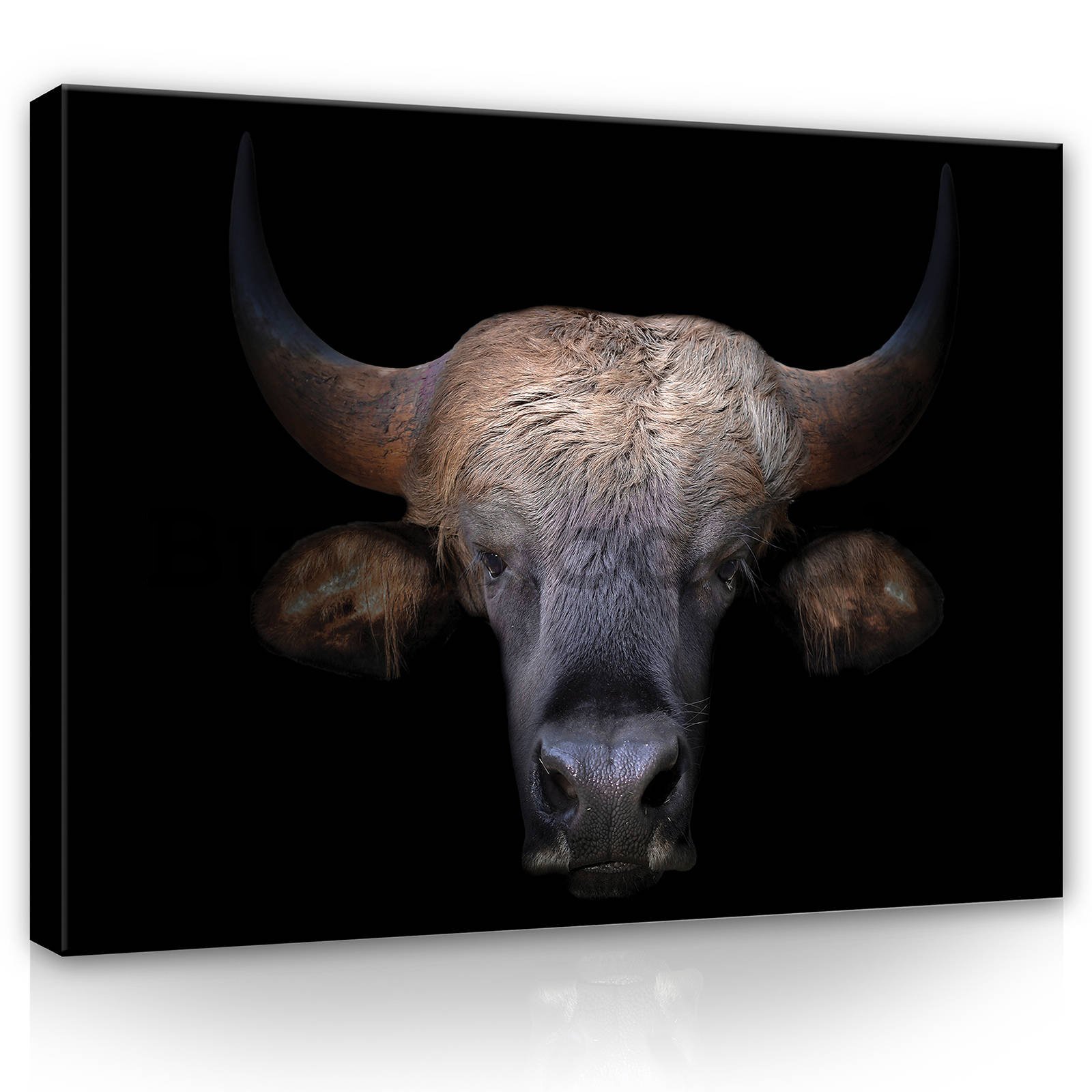 Painting on canvas: Bull (1) - 80x60 cm