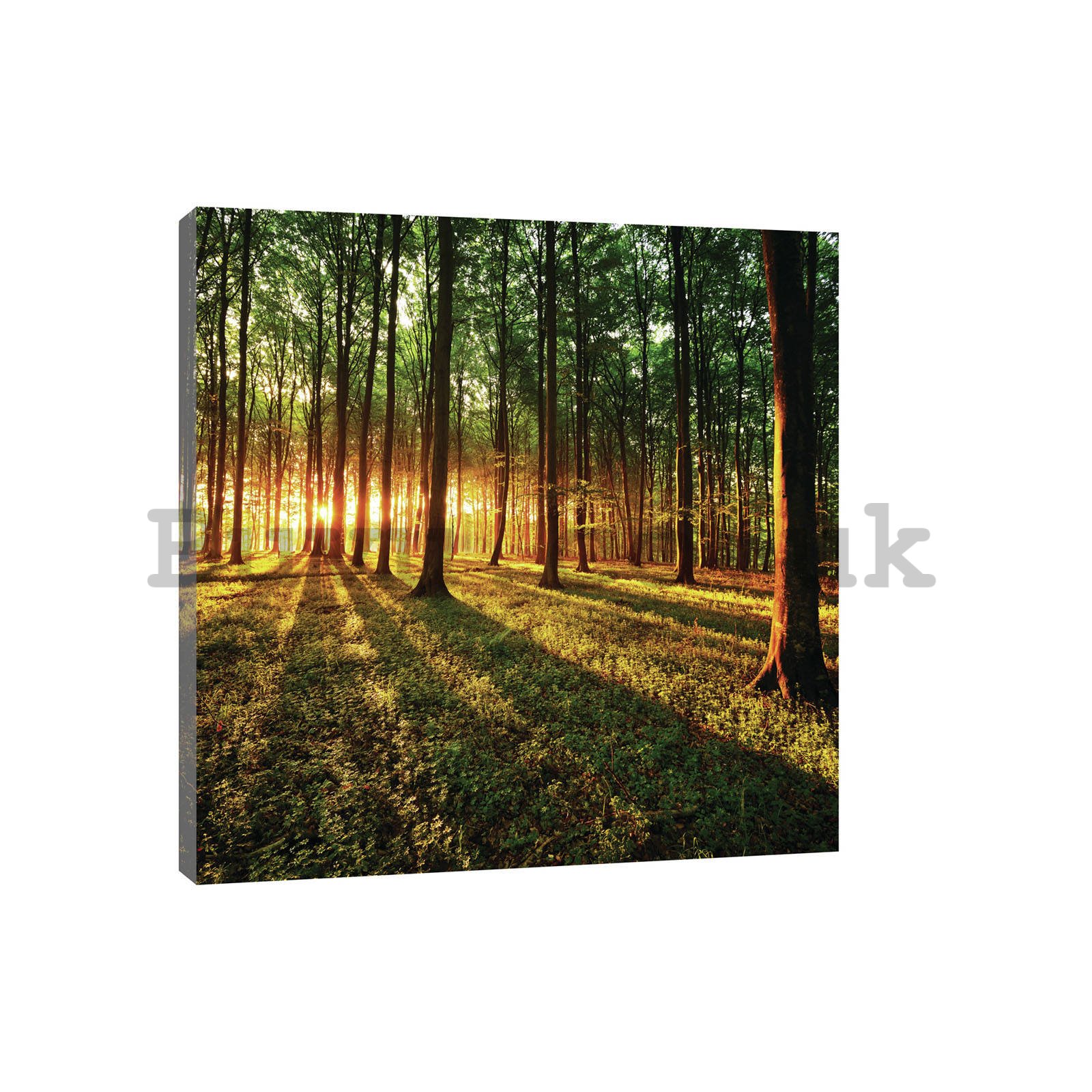 Painting on canvas: Sunset in the Forest - 80x60 cm