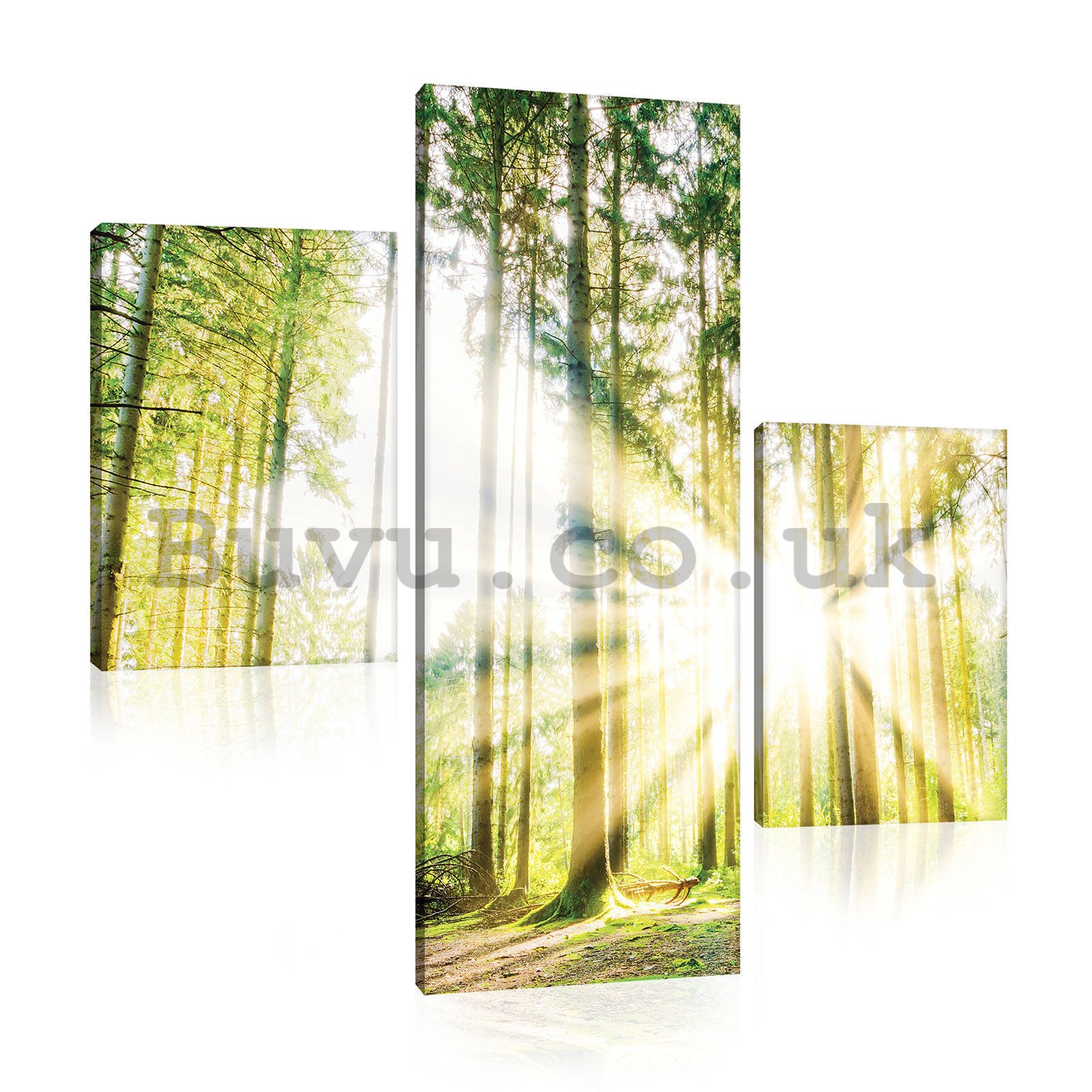 Painting on canvas: Sun in the Forest (4) - set 1pc 80x30 cm and 2pc 37,5x24,8 cm