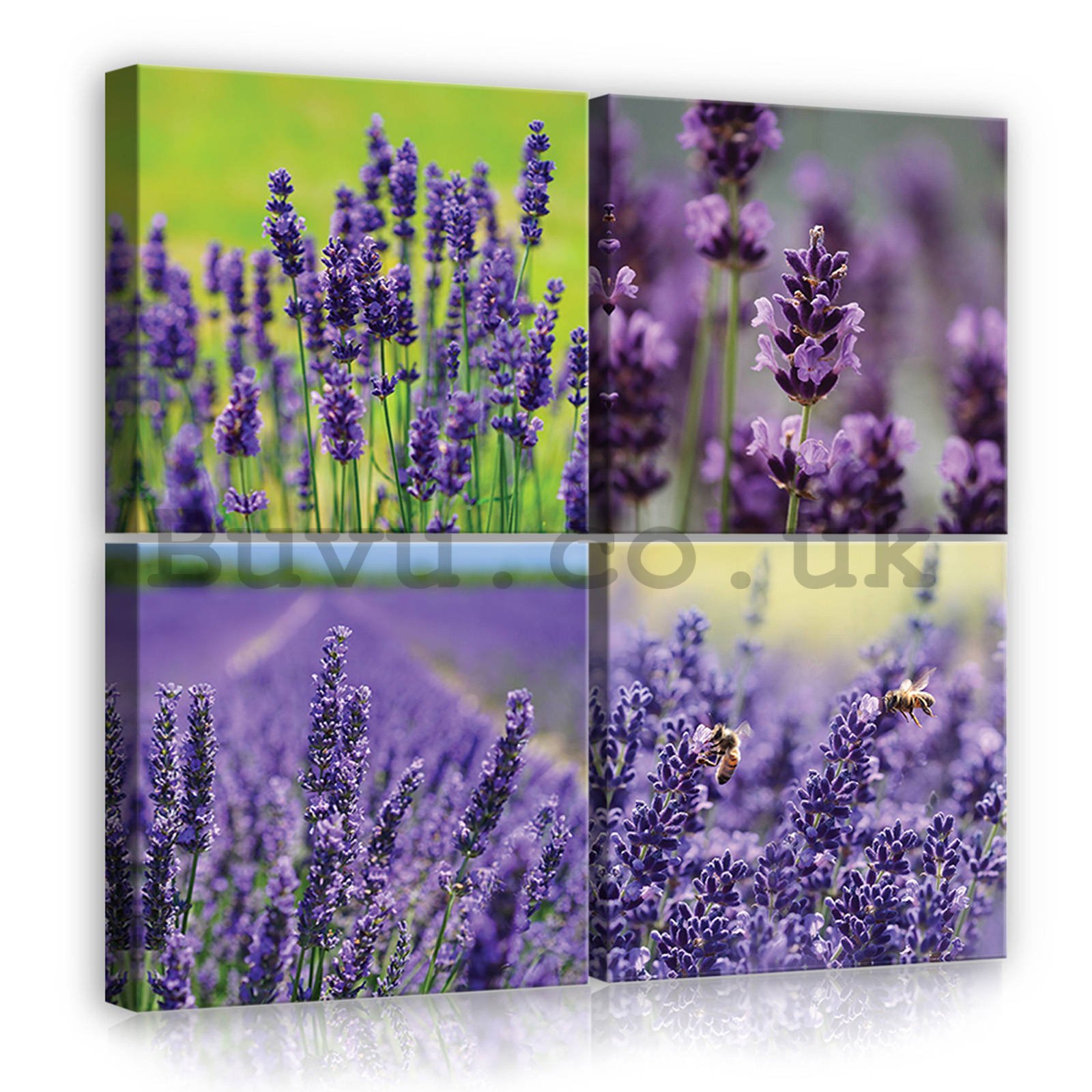 Painting on canvas: Lavender (3) - set 4pcs 25x25cm