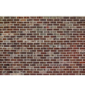Wall mural vlies: Brick wall (6) - 254x368 cm