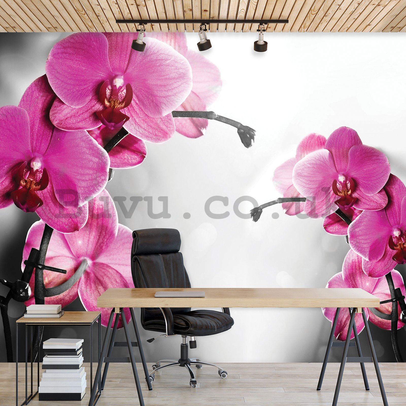 Wall mural vlies: Orchid on grey background - 152,5x104 cm