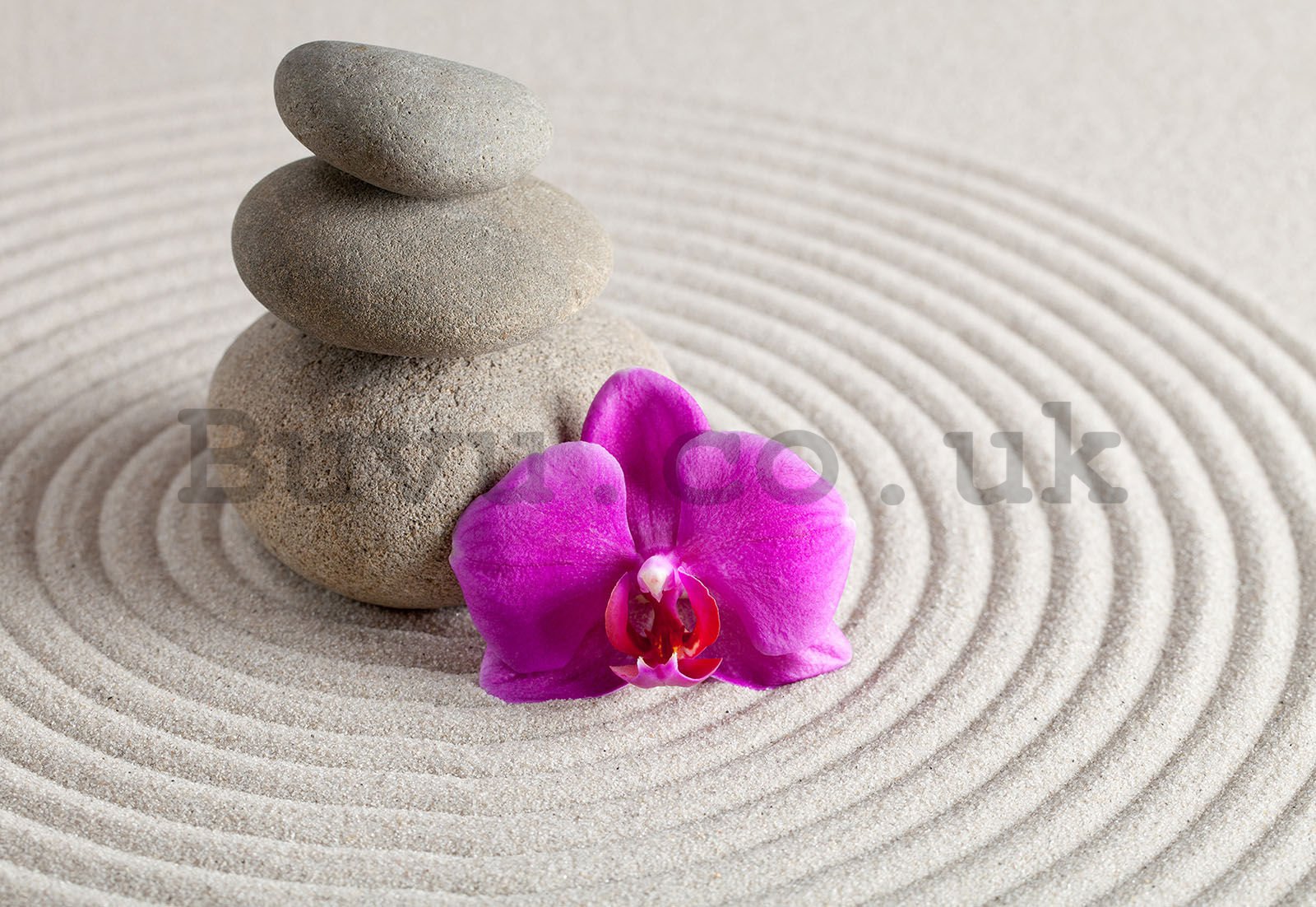 Wall mural vlies: Spa stones and orchid - 152,5x104 cm
