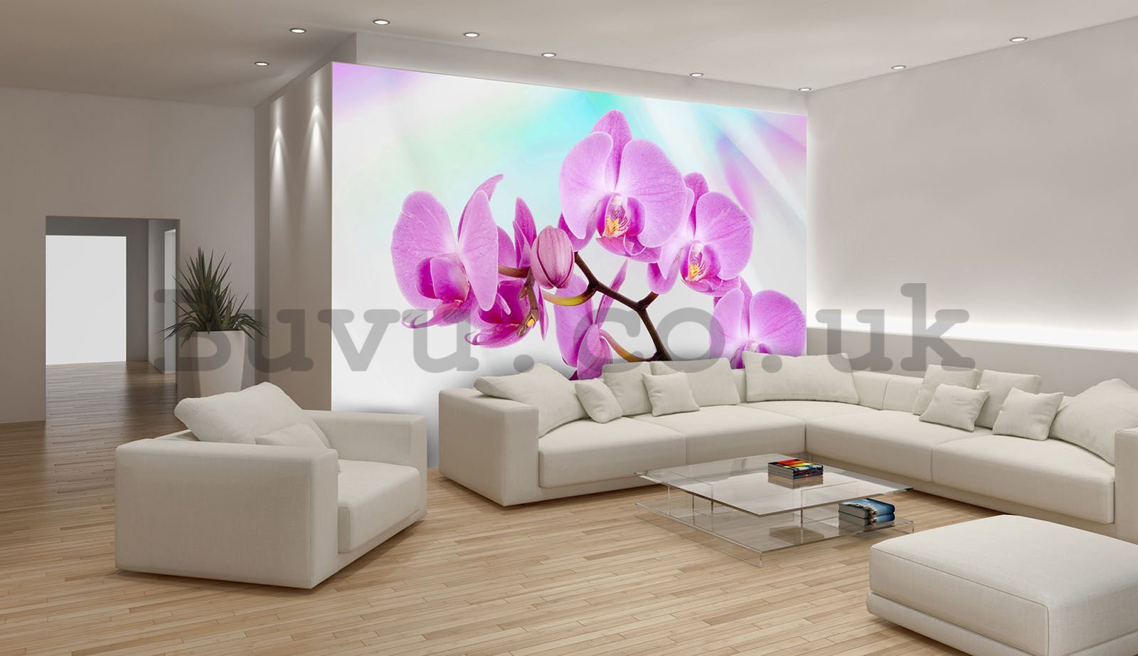 Wall mural vlies: Violet orchid - 416x254 cm