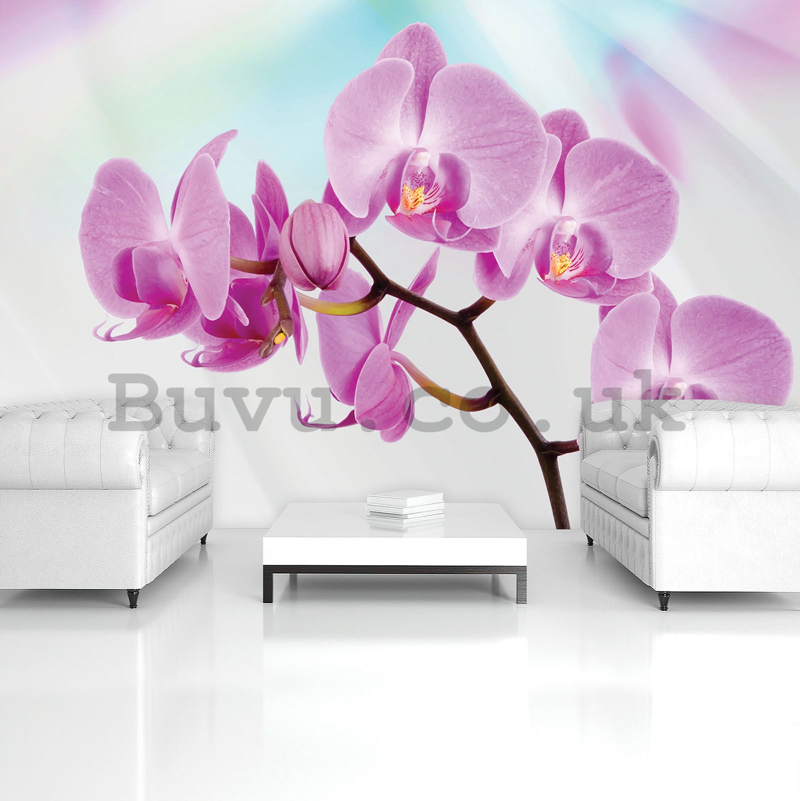 Wall mural vlies: Violet orchid - 416x254 cm